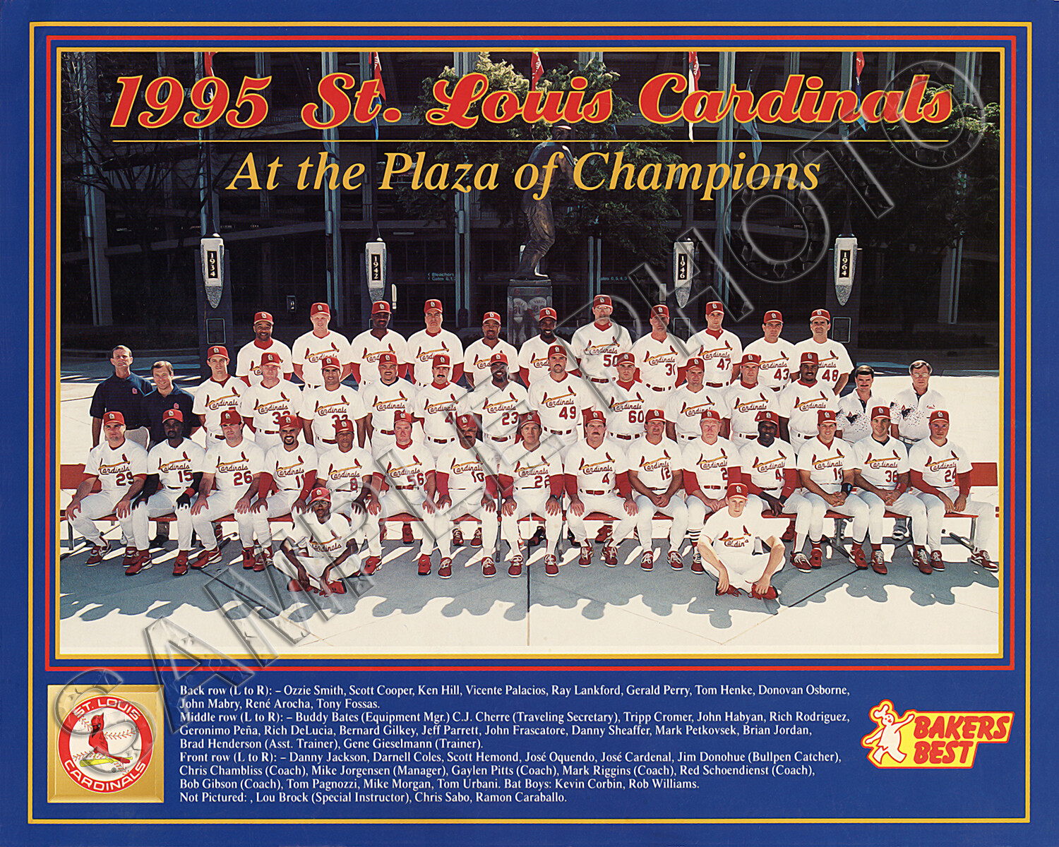 1995 ST LOUIS CARDINALS BASEBALL 8X10 TEAM PHOTO | eBay