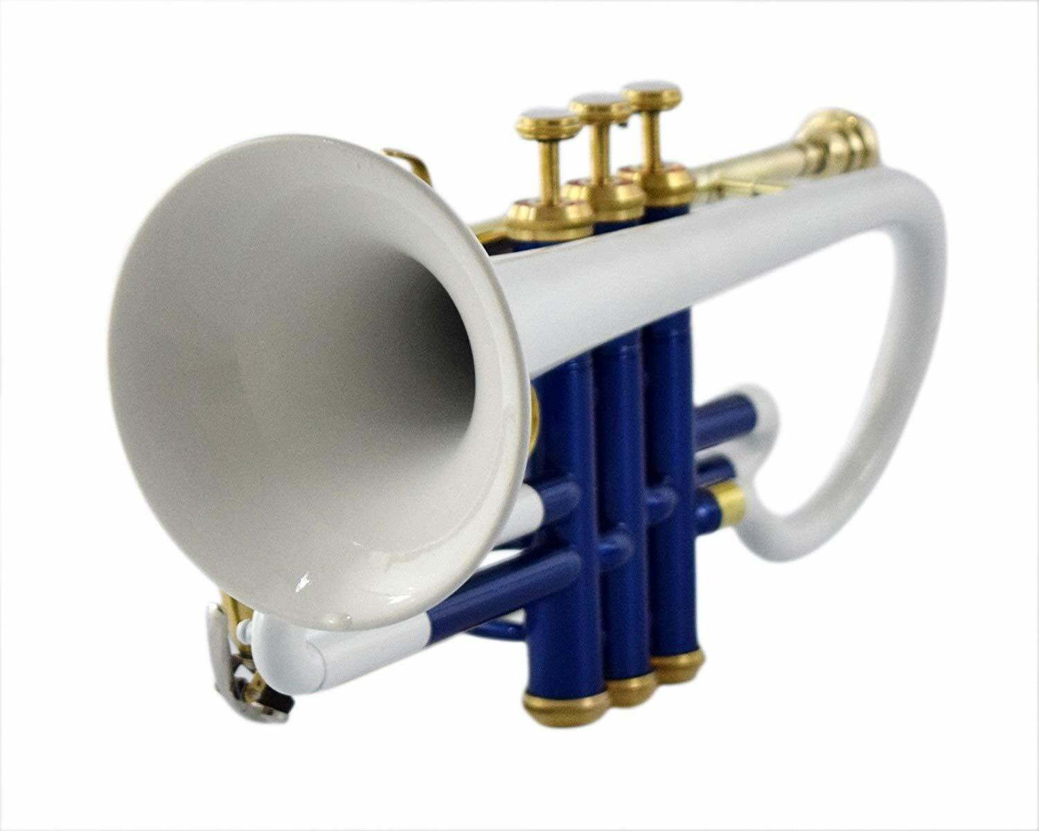 BEST GIFT FOR SON BLUE+WHITE COLOR Bb PITCH WITH FREE HARD CASEの