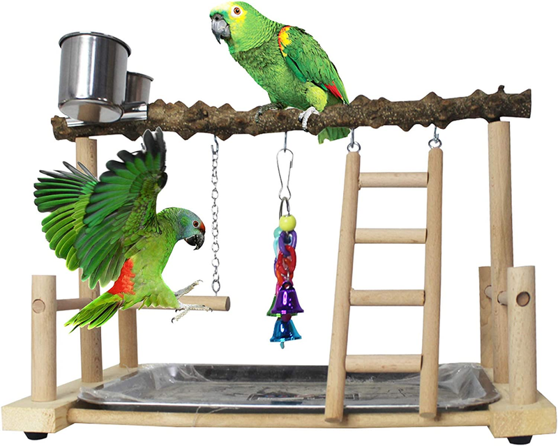 Playstand Pet Bird Perch Platform Stand Parrot Play