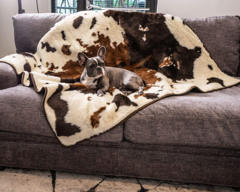 PAW BRANDS Pupprotector Waterproof Dog Blanket - Soft Plush Throw Protects Bed,