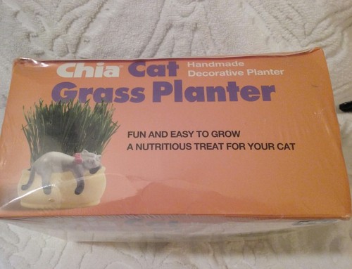 Chia cat grass planter