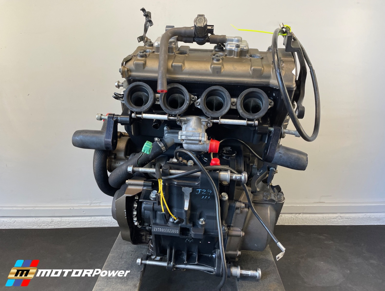 レオン TIGER HORIZONIA LICHEN GREEN × BIRCH #OnitsukaTiger