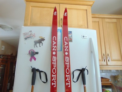 vintage    skis 73 