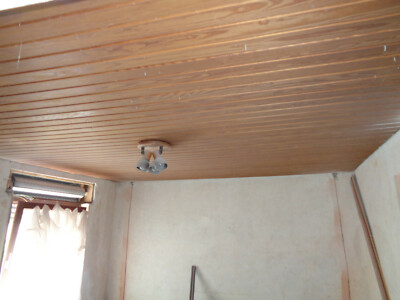 Deckenpaneele Holz gebraucht kaufen! Nur 4 St. bis -60% günstiger