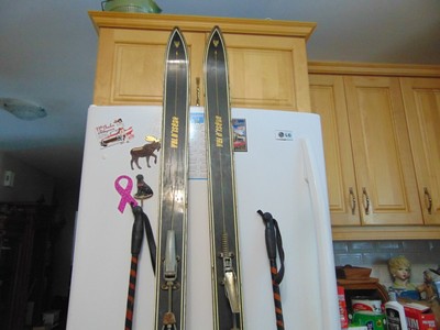 vintage    skis 78 
