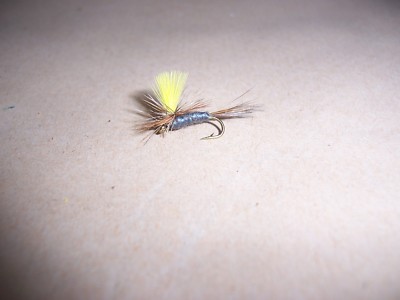 mouche Gilchrist mouches 3 March Brown nymphes.gr.12