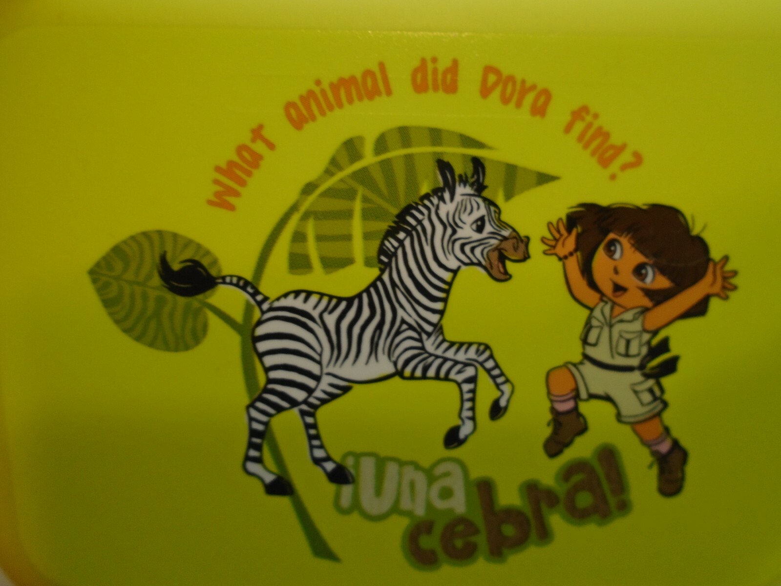 食器 DORA Amazon.com: Tea Cups Dora White Ceramic The Collage Explorer