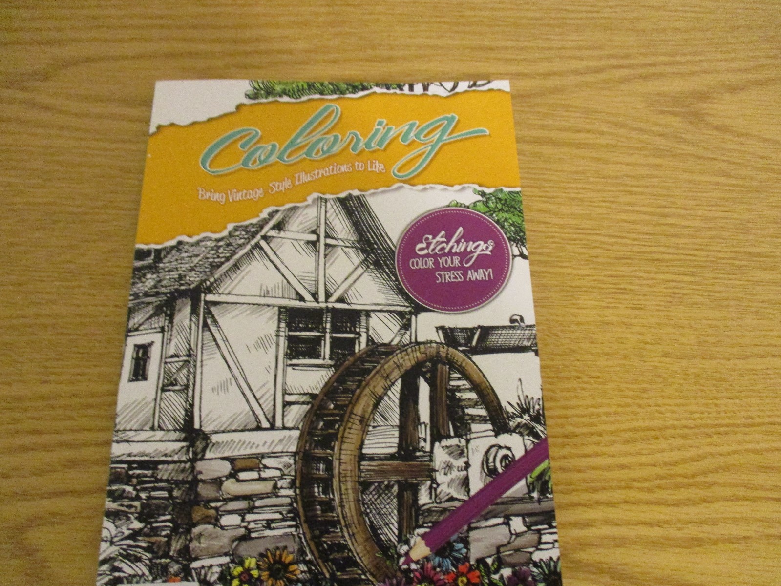 2 ADULT COLORING BOOKS & 2 BOXES COLORED PENCILS