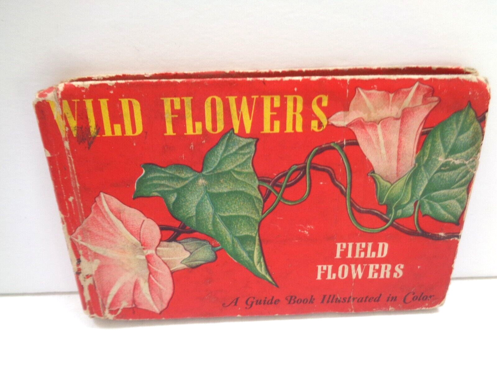 洋書 How to Study Wild Flowers 9780804854016__26948.
