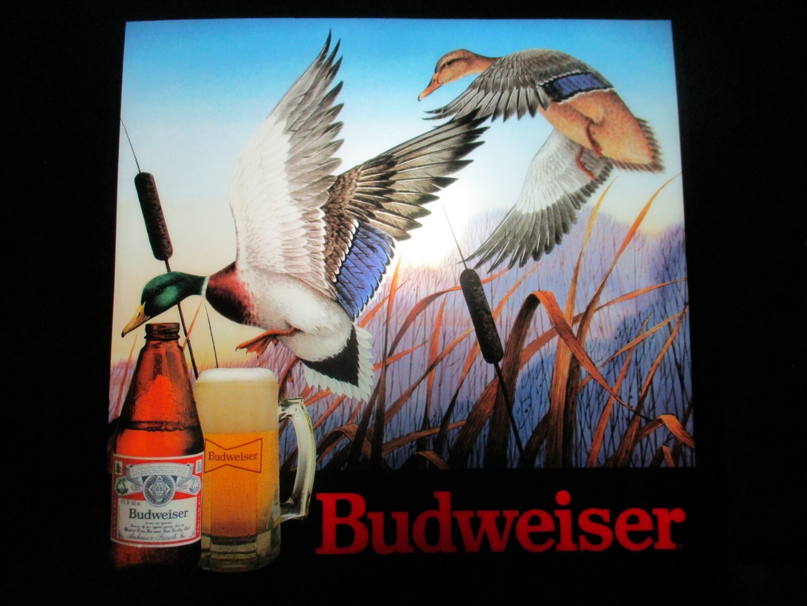 往年のラグビープレイヤーの　陶器製の人形 $_57.JPG?set_id=880000500F