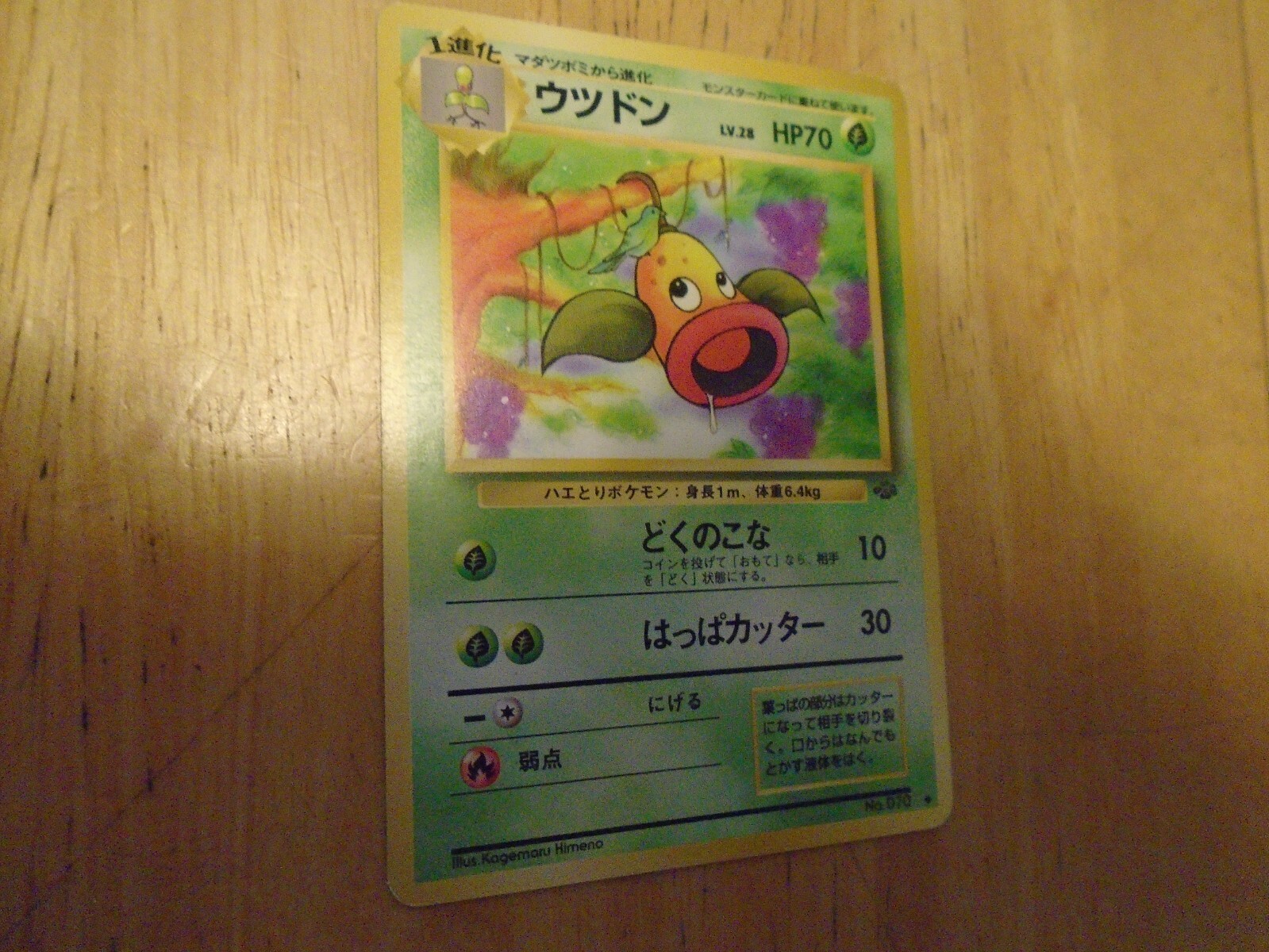 Pokémon card old Back Weepinbell HP70 LV28 No.070 Nintendo