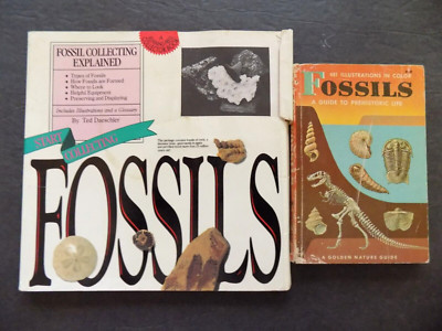 LOT # 5 - TWO BOOKS ON FOSSILS for kids