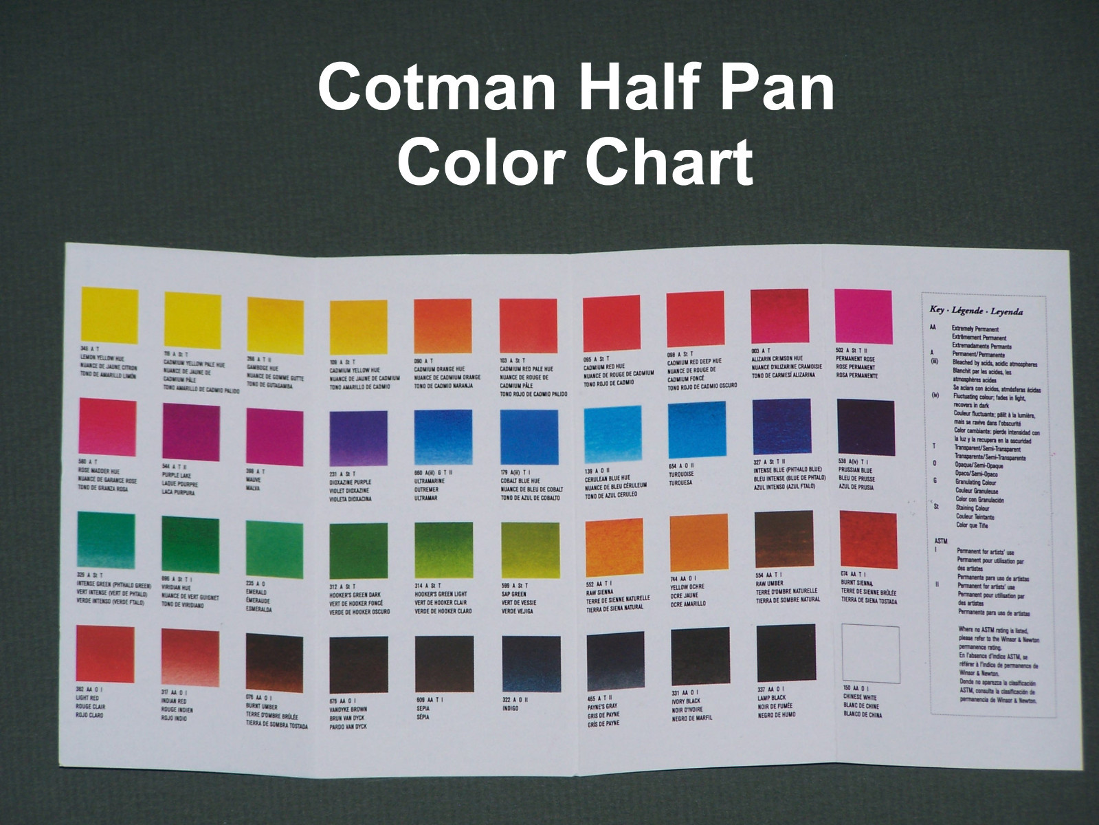 Winsor & Newton Cotman Half Pan - REFILLS - ALL 40 COLORS - Buy 5 & GET 1 FREE
