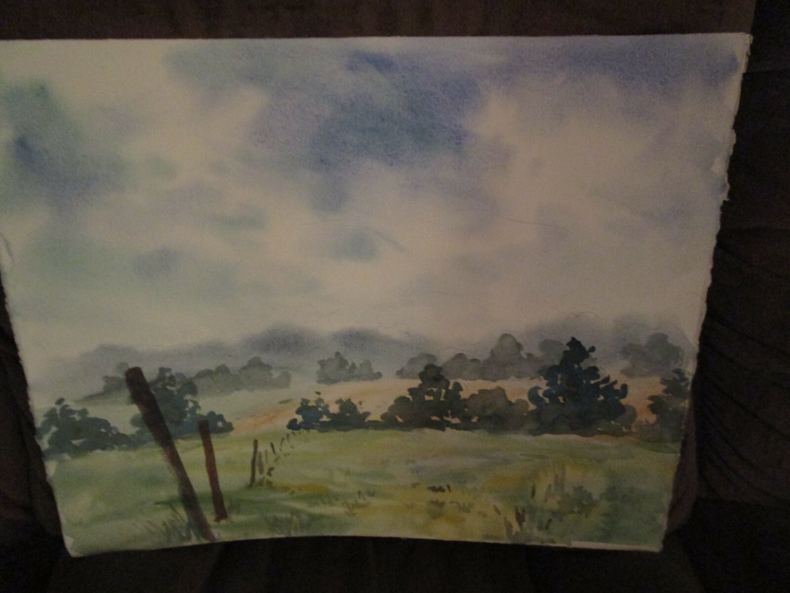 Original Watercolor By Peg Humphreys, Fenced Pasture & Still Life 20"x 16"
