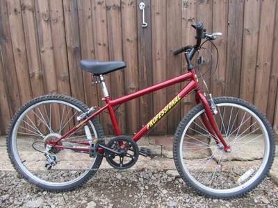 Professional Chain Reaction Boys Red Mountain Bike Bicycle 5 Gears Shimano 24 in