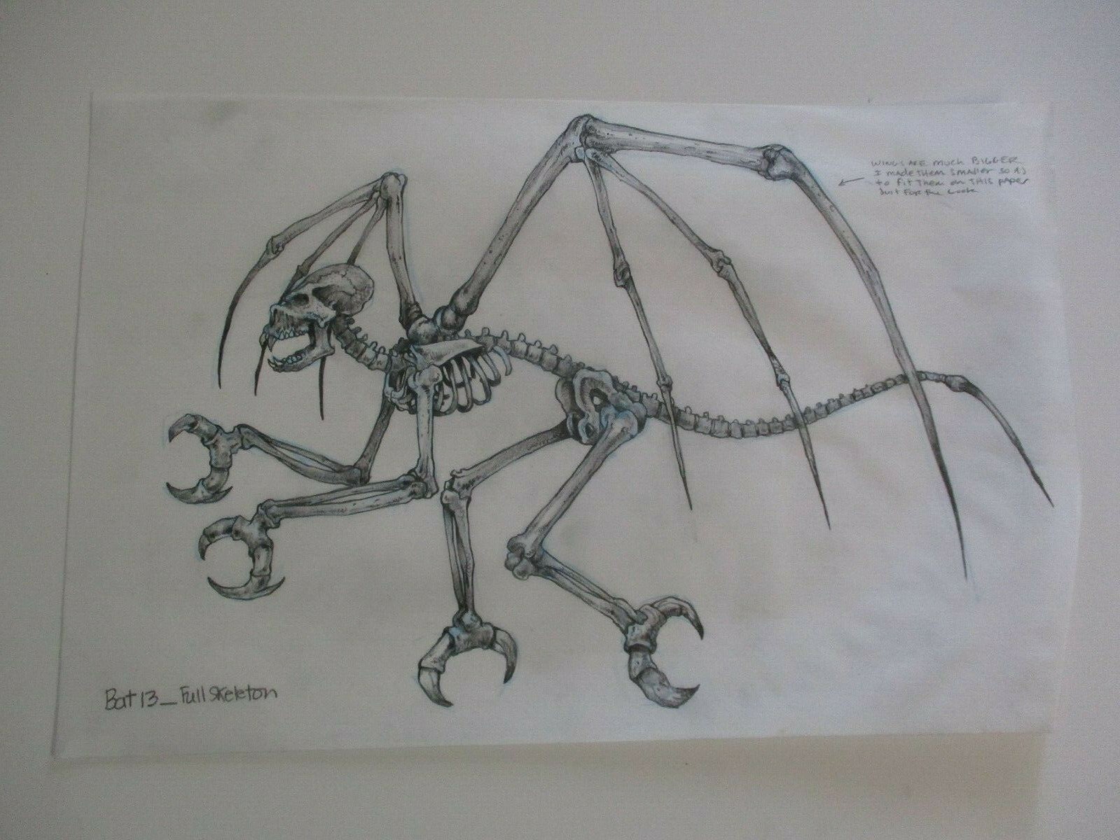 COLLECTION DRAWINGS ILLUSTRATION ANIMATION COMIC ART FLYING BAT BATS CREATURES