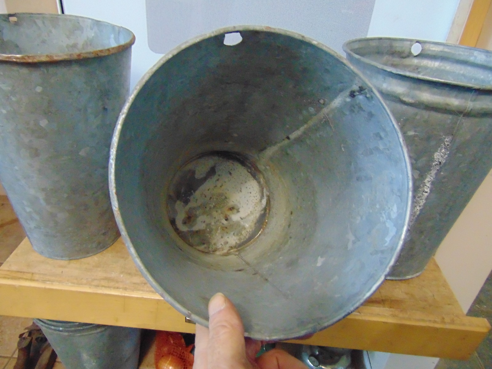 3 maple syrup sap bucket old galvanized buckets planter flowers  # 6893