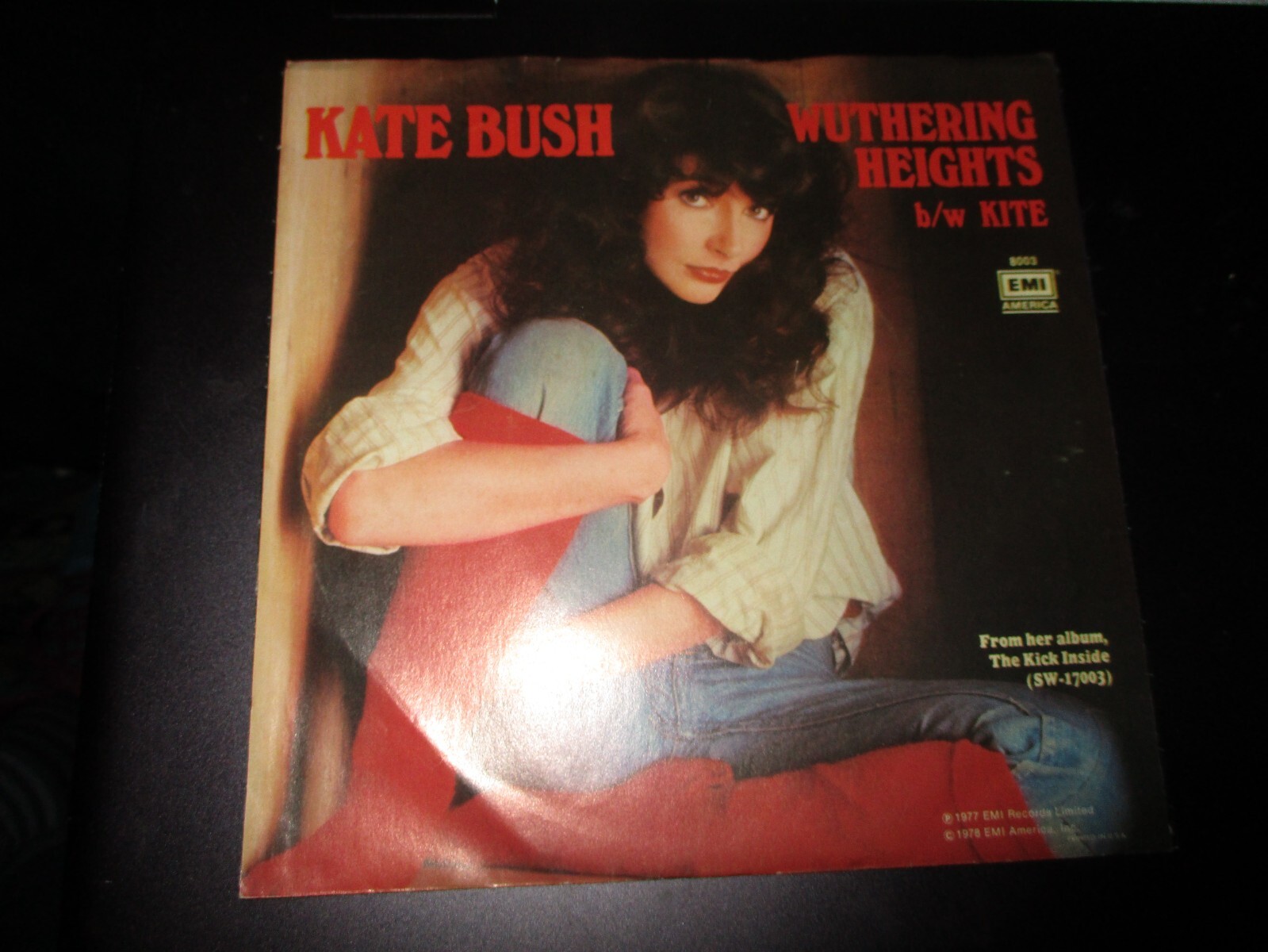 1978 KATE BUSH Wuthering Heights /Kite US Pic Sleeve 7