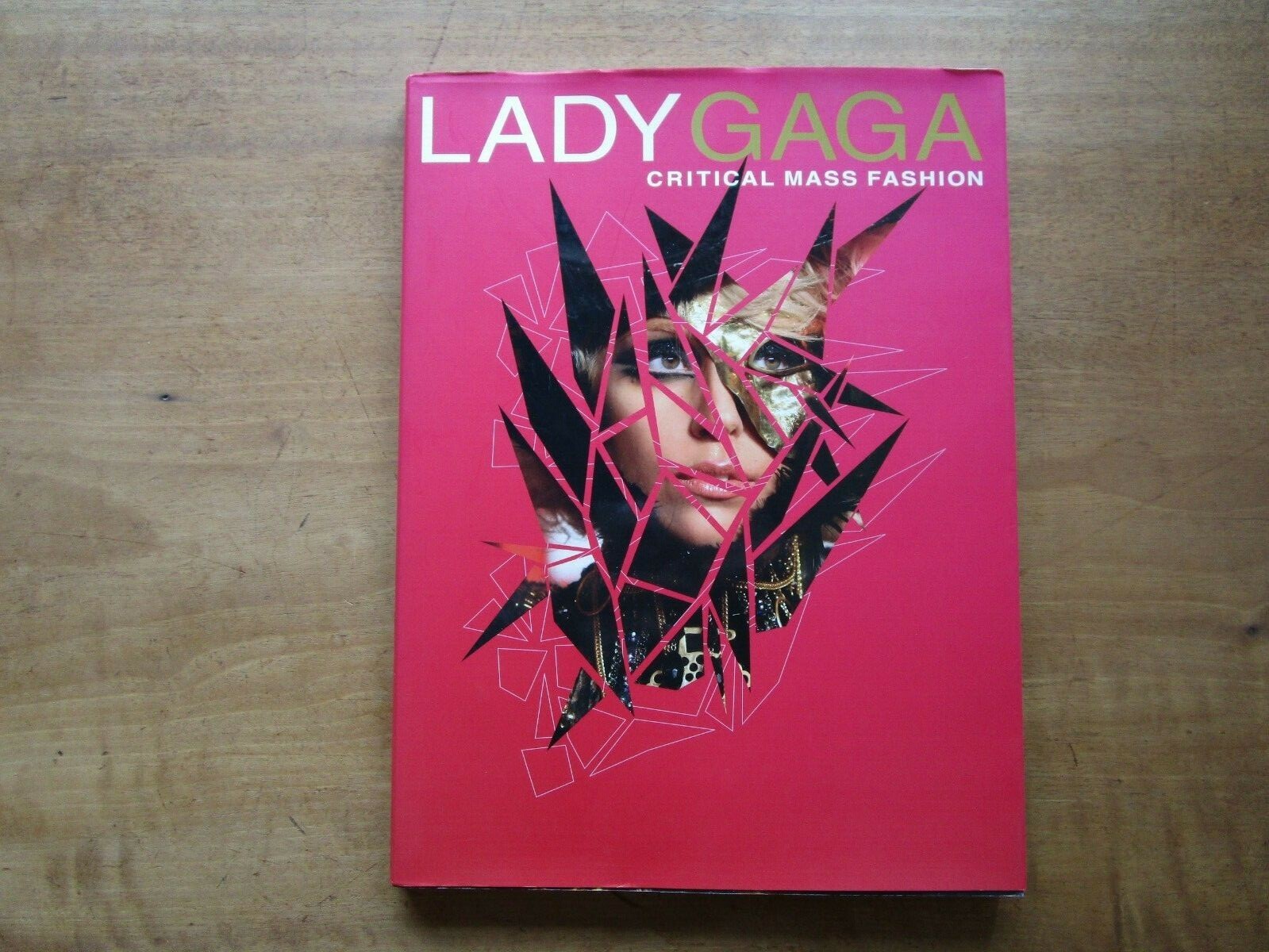 Gaga アートブック Lady GAGA
