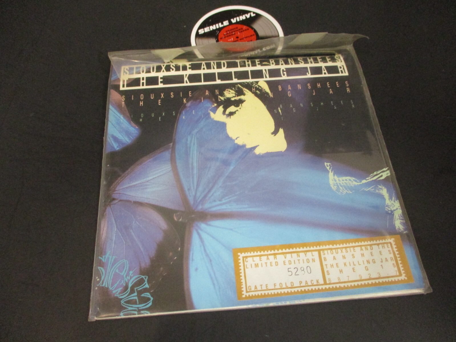 Siouxsie & The Banshees The Killing Jar 1988 7