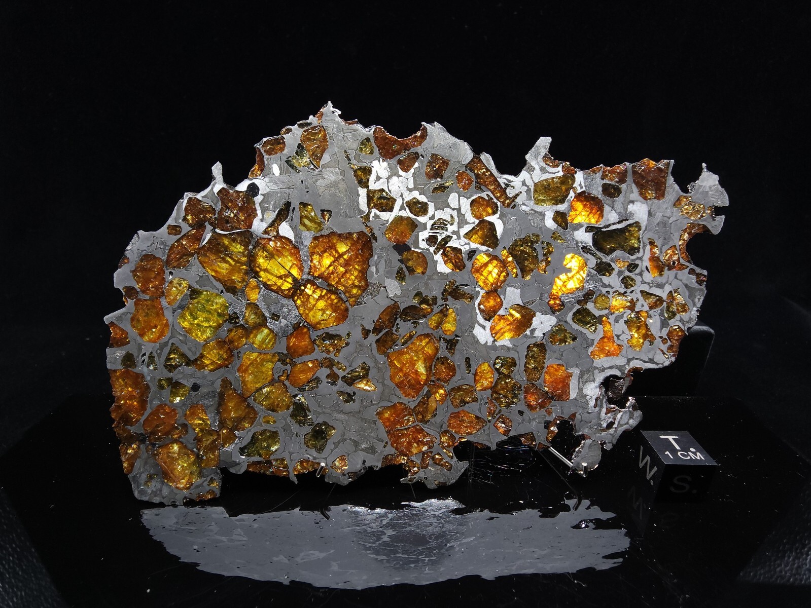 イミラック隕石　(Imilac Meteorite) イミラック隕石 (Imilac meteorite)
