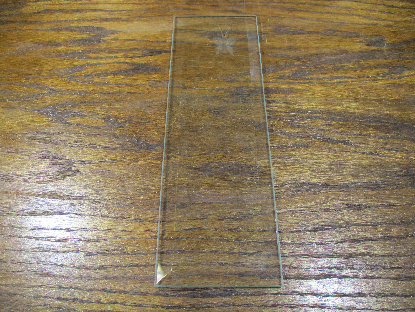 Etched Butterfly Beveled Clear Glass Stained Parts 10 5/8