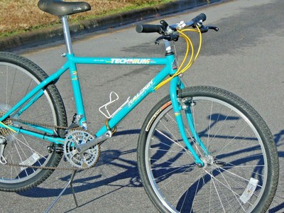 raleigh pro xt