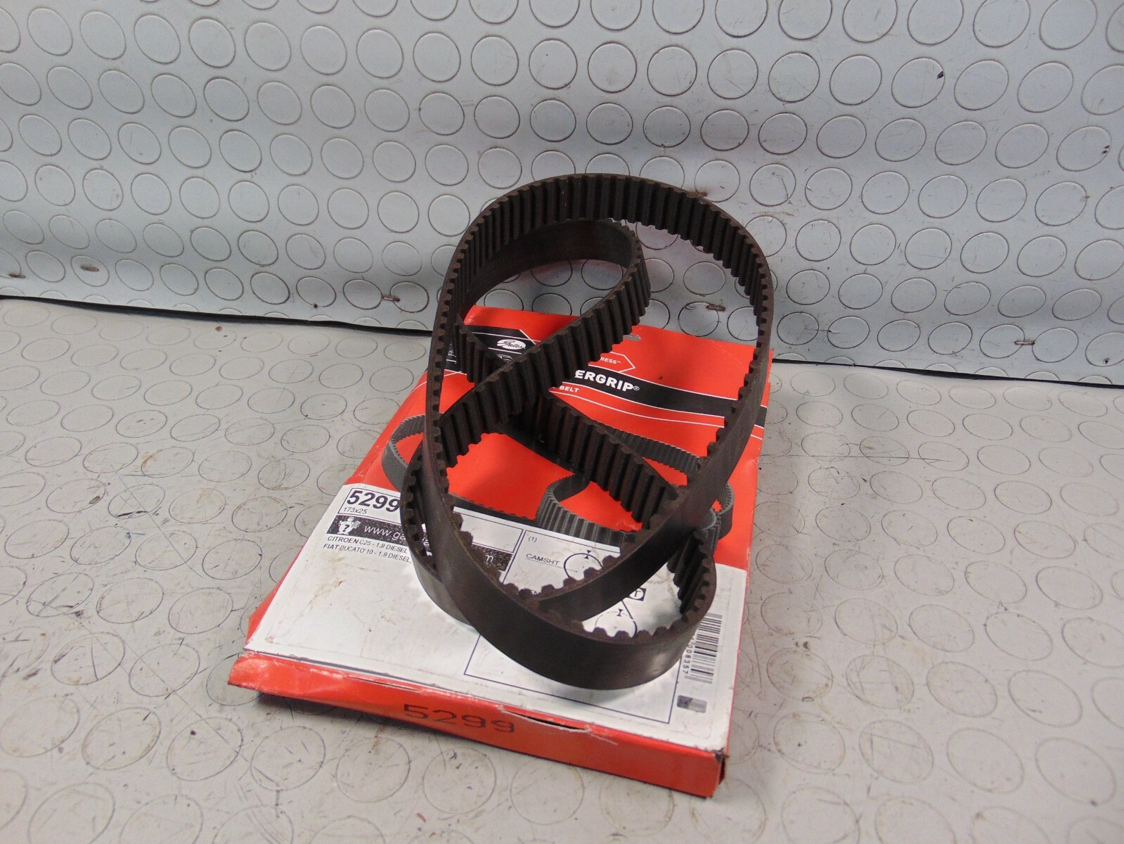 CINGHIA DISTRIBUZIONE FIAT DUCATO CITROEN JUMPER 1995 173RHP254