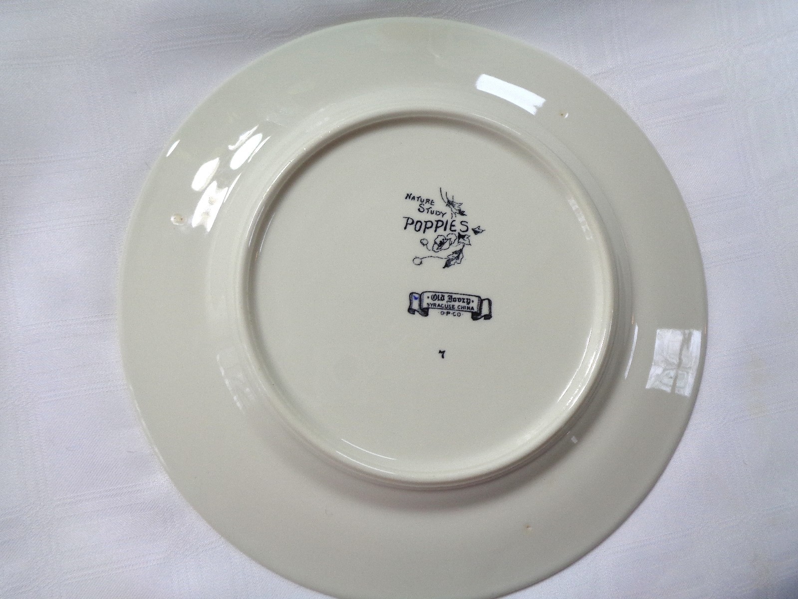 Syracuse Nature Study 