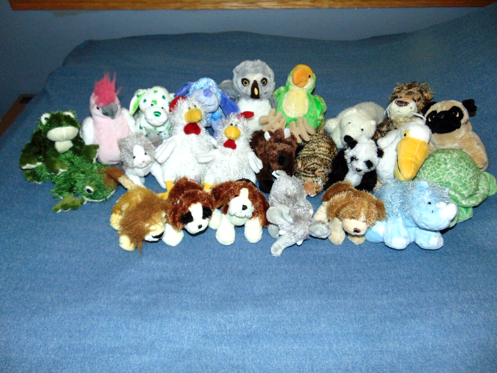 GANZ Webkinz Lil’ Kinz Huge Lot Of 24 No Codes Plush Only-Clover Puppy+More List