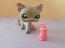 Petshop Chat Europeen Avec Accessoire 4 European Cat Ebay