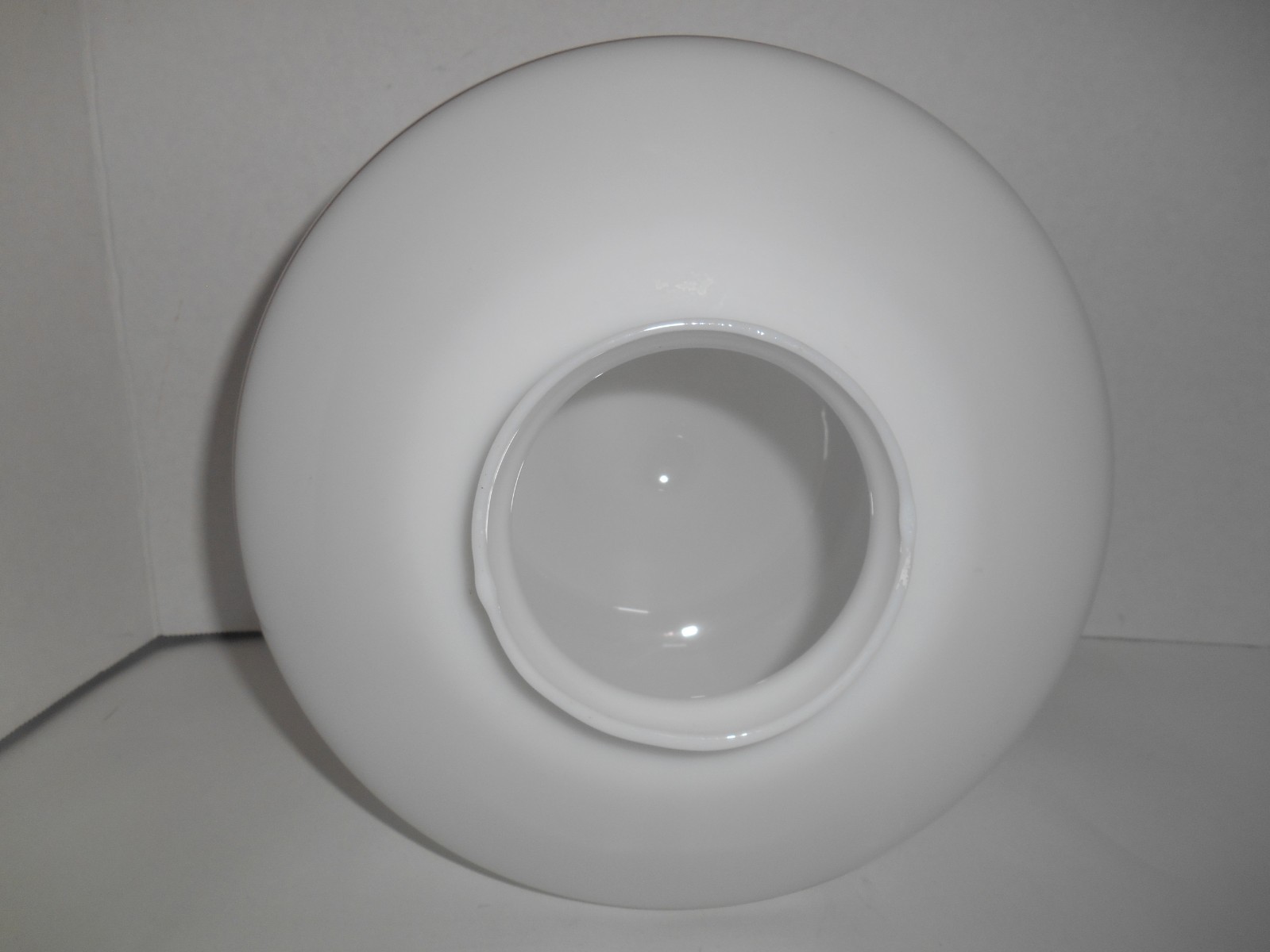 Vintage School House White Glass Light Globe w/ Rose Floral Design