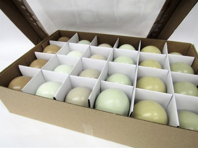 Lot of 24 Blown Hollow Painted Americana Chicken Hen Eggs Set Spring