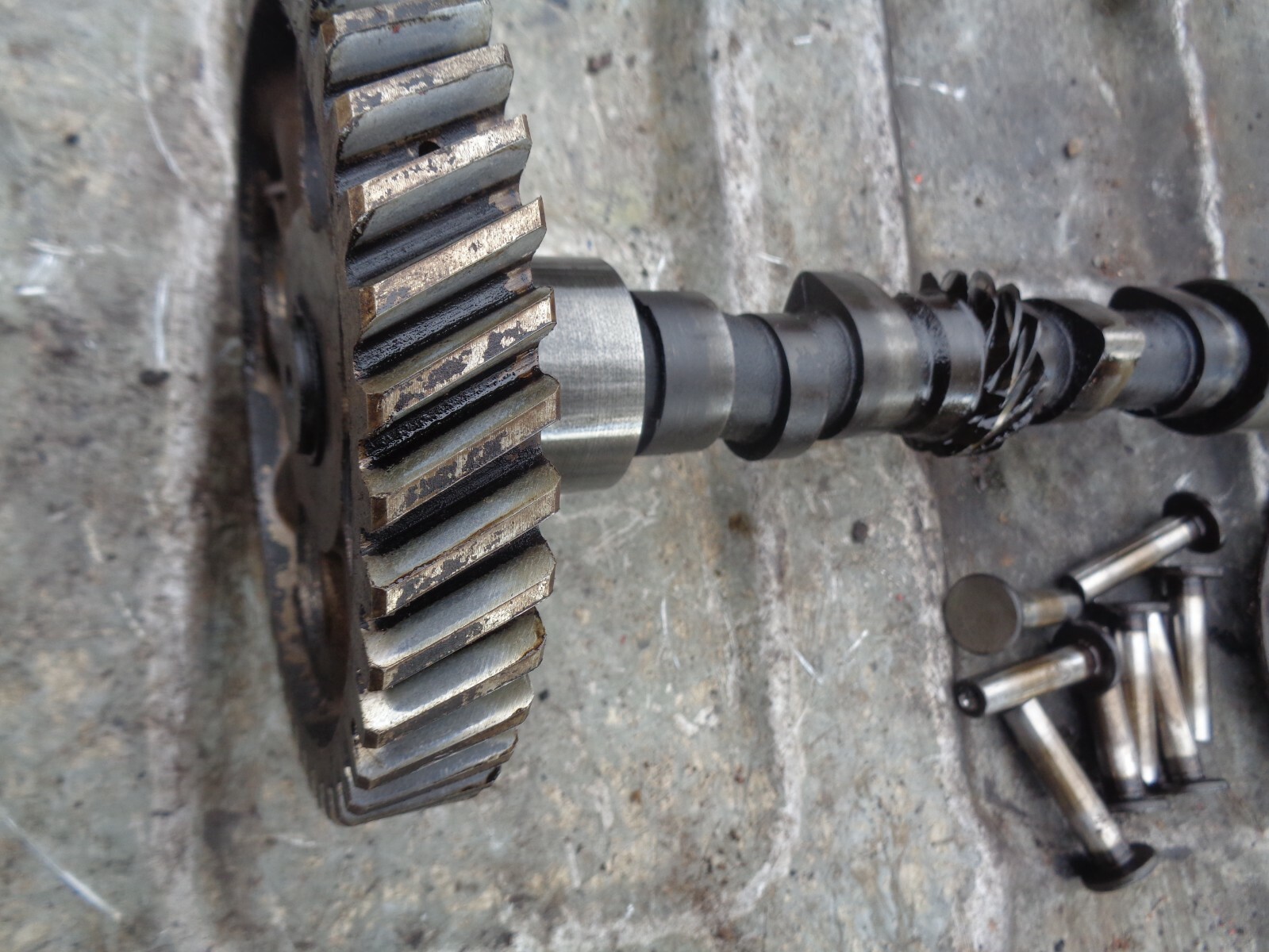 Ford Tractor 600-800-Jubilee Engine Cam Shaft W/Gears & Valve Lifters