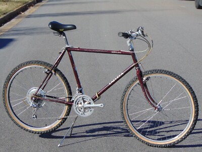 sun wasp tandem