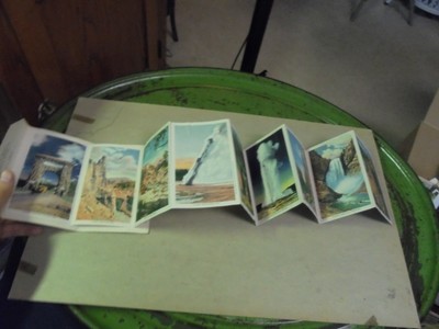 Haynes Linen Postcard Souvenir  Folder Yellowstone National Park Wyoming