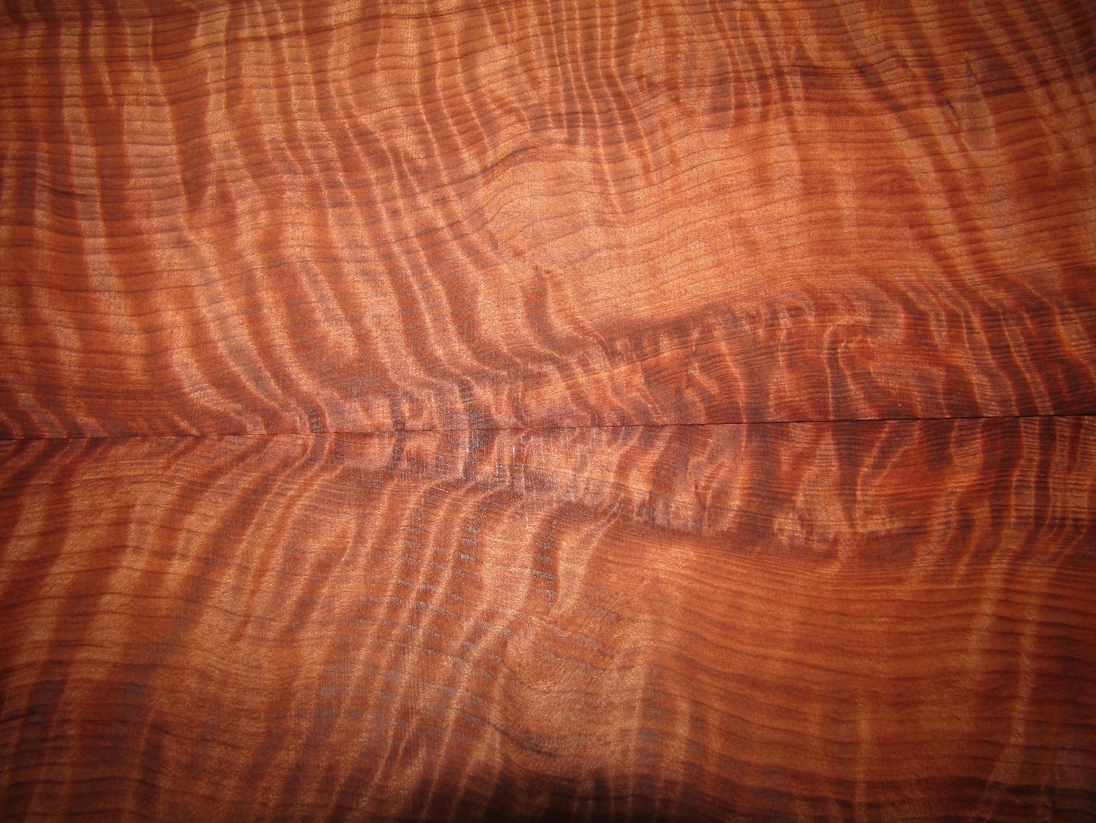 REDWOOD EXTREME CURLY GUITAR BOOK MATCH SET...SUPER!