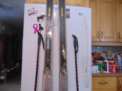 vintage    skis 78 