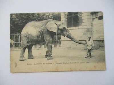 CPA PARIS 75 AU JARDIN DES PLANTES LE GRAND ELEPHANT SAIB ET SON CORNAC