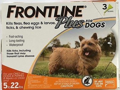 FRONTLINE Plus 5-22 lbs Dog Flea & Tick Medicine Small Orange Box 3 Month Supply