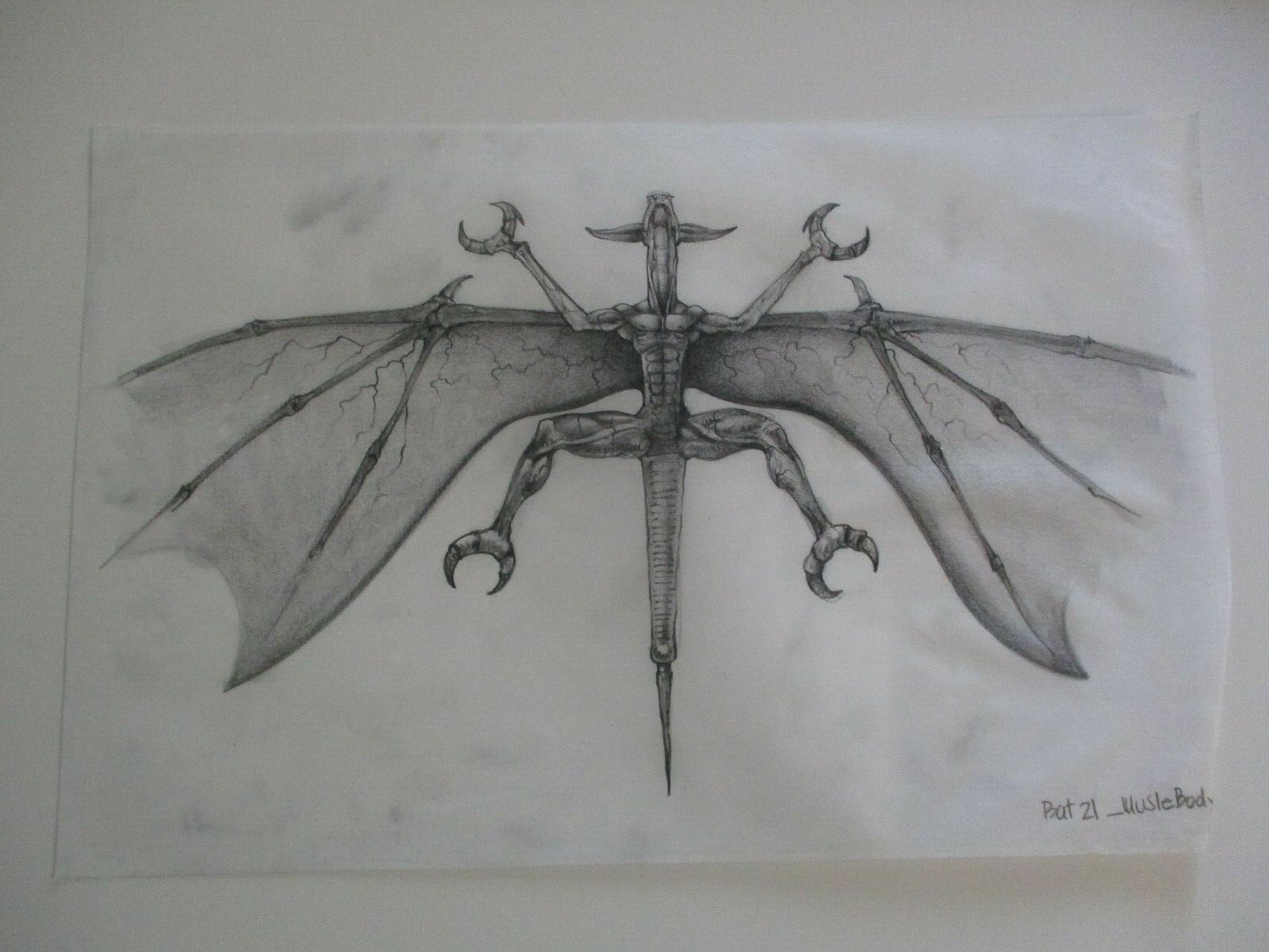 COLLECTION DRAWINGS ILLUSTRATION ANIMATION COMIC ART FLYING BAT BATS CREATURES