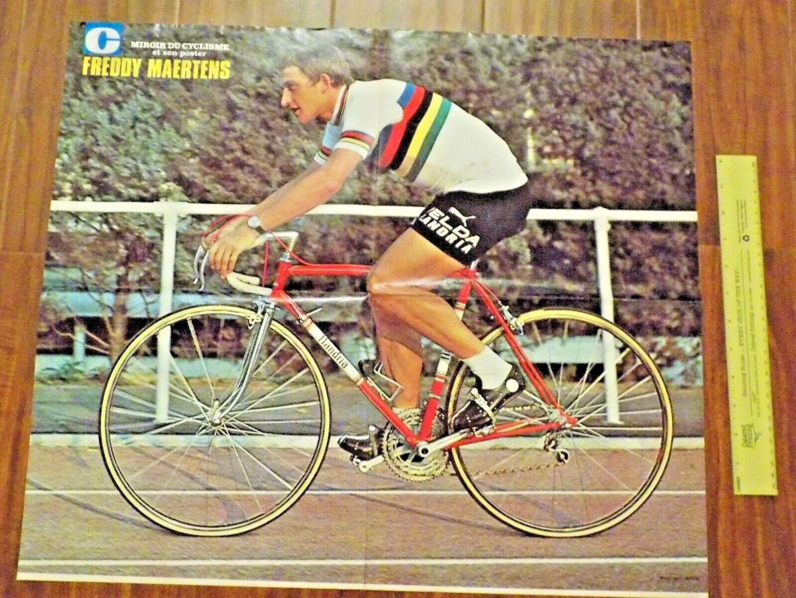 Freddy Maertens cycling poster Tour de France colnago flandria merckx shimano