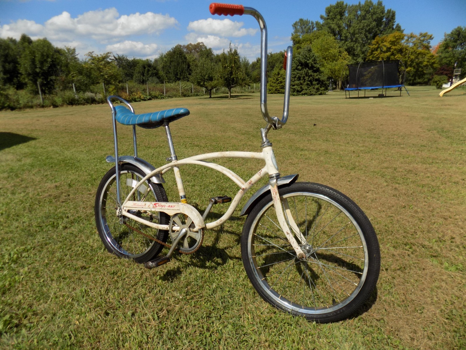 $_57.JPG?set_id=880000500F