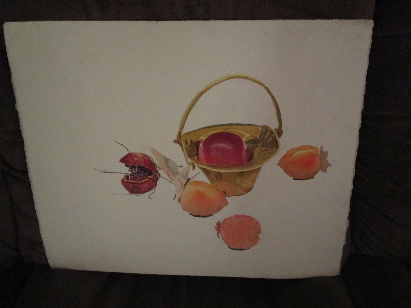 Original Watercolor By Peg Humphreys, Fenced Pasture & Still Life 20"x 16"