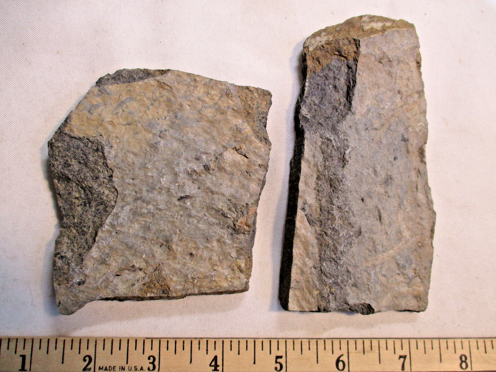 Trilobite Albertella sp. Vanuxemella nortia Rose KLake Shale Member Cathedral