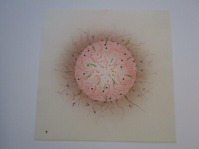 ERNEST POSEY DRAWING PAINTING 1970 ABSTRACT EXPRESSIONISM SURREALISM CALIFORNIA