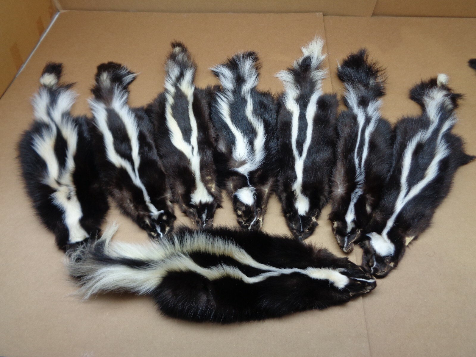 トップス share spirit skunk fur best sheep wool share spirit skunk fur best sheep wool