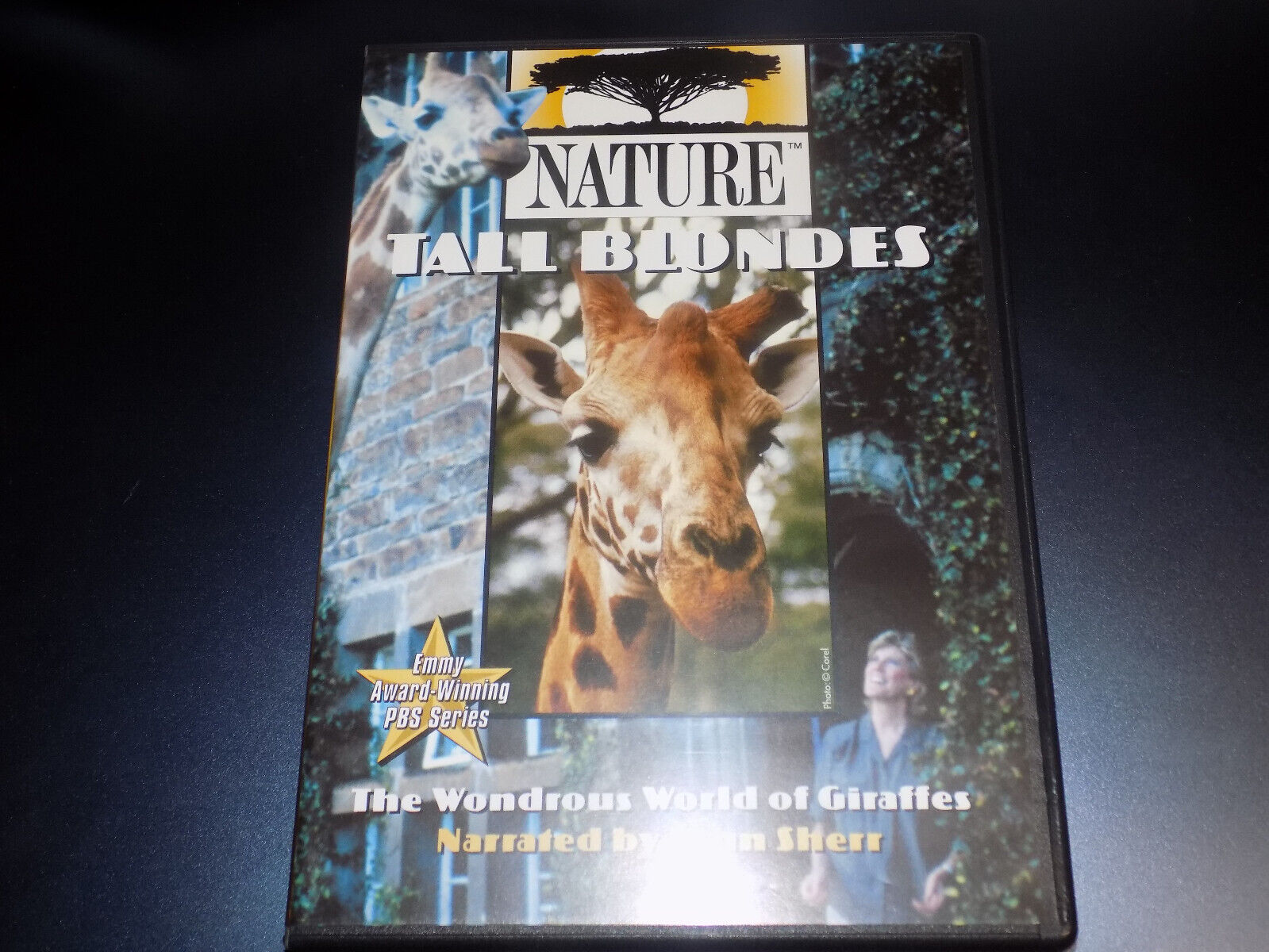 NATURE TALL BLONDES Giraffe Giraffes African Wildlife Animals Lynn Sherr PBS DVD NATURE TALL BLONDES Giraffe Giraffes African Wildlife Animals Lynn Sherr PBS DVD