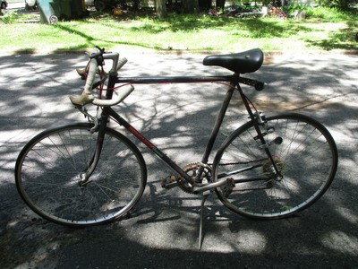 nishiki sport 12 speed
