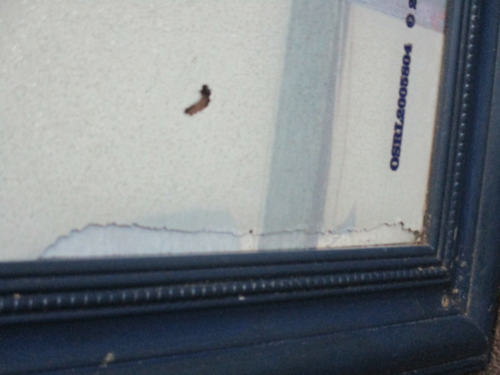 Rare Huge Chicago Cubs Old Style Beer “Believe Or Leave” Mirror Bar Sign